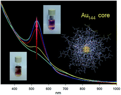 Polylysine Grafted Au144 Nanoclusters Birth And Growth Of A Healthy Surface Plasmon Resonance Like Band Chemical Science Rsc Publishing