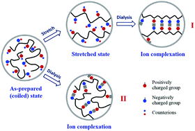 Stretching-induced ion complexation in physical polyampholyte hydrogels ...