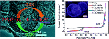 Cobalt Oxide Coated N And B Doped Graphene Hollow Spheres As Bifunctional Electrocatalysts For Oxygen Reduction And Oxygen Evolution Reactions Journal Of Materials Chemistry A Rsc Publishing