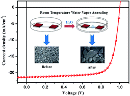 Room Temperature Water Vapor Annealing For High Performance