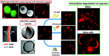 Retracted Article: Triple-responsive inorganic–organic hybrid ...
