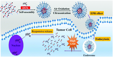 glutathione nanoparticles Illustration of glutathione-responsive paclitaxel dimeric nanoparticles... main image 0