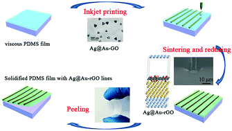 Transparent Ag@Au–graphene patterns with conductive stability via inkjet  printing - Journal of Materials Chemistry C (RSC Publishing)