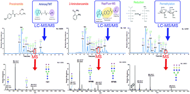 Direct Comparison Of Derivatization Strategies For Lc Ms Ms Analysis Of N Glycans Analyst Rsc Publishing