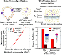 Improving extraction and post-purification concentration of membrane  proteins - Analyst (RSC Publishing)