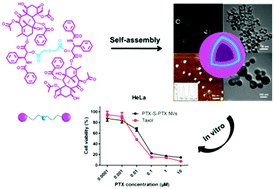 Glutathione-responsive paclitaxel dimer nanovesicles with high drug content 