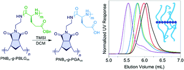 Synthesis Of Controlled High Molecular Weight Poly L Glutamic Acid Brush Polymers Biomaterials Science Rsc Publishing