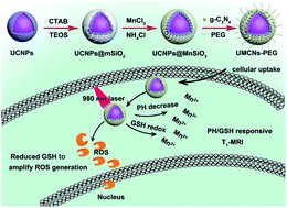 Multifunctional UCNPs@MnSiO3@g-C3N4 nanoplatform: improved ROS generation  and reduced glutathione levels for highly efficient photodynamic therapy