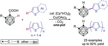 Dehydrogenative Cross Coupling Of O Carborane With Thiophenes Via Ir Catalyzed Regioselective Cage B H And C Sp2 H Activation Chemical Communications Rsc Publishing