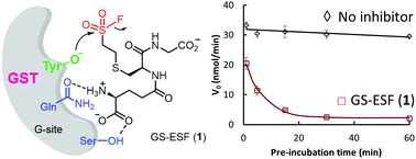 A covalent G-site inhibitor for glutathione S-transferase Pi (GSTP1-1)