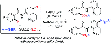 Palladium Catalyzed Direct Sulfonylation Of C H Bonds With The Insertion Of Sulfur Dioxide Chemical Communications Rsc Publishing