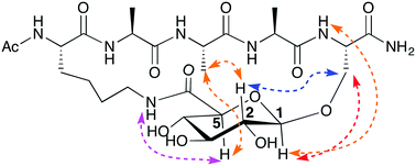 Glucuronic acid as a helix-inducing linker in short peptides - Chemical  Communications (RSC Publishing)