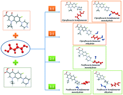 Diversity Of Crystal Structures And Physicochemical Properties Of Ciprofloxacin And Norfloxacin Salts With Fumaric Acid Crystengcomm Rsc Publishing