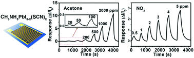 High-performance gas sensors based on a thiocyanate ion-doped ...