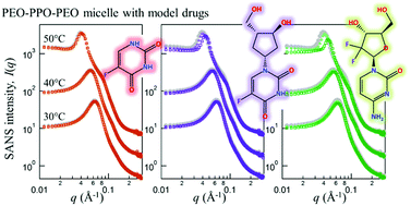 Effect Of Nucleoside Analogue Antimetabolites On The Structure Of Peo Ppo Peo Micelles Investigated By Sans Physical Chemistry Chemical Physics Rsc Publishing
