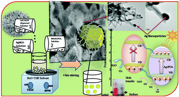 Growth study of hierarchical Ag3PO4/LaCO3OH heterostructures and their ...