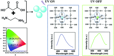 Cool White Persistent Room Temperature Phosphorescence In