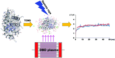 Impact Of An Ionic Liquid On Protein Thermodynamics In The Presence Of Cold Atmospheric Plasma And Gamma Rays Physical Chemistry Chemical Physics Rsc Publishing