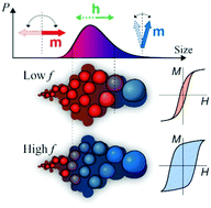 Interplay between superparamagnetic and blocked behavior in an ensemble ...