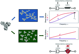 Characterizing Proteinprotein Interaction In High - 