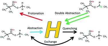 Promiscuous hydrogen in polymerising plasmas - Physical Chemistry ...