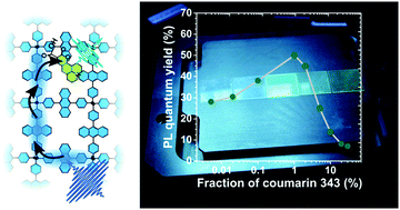 The Hot Guyde Howard Reith
