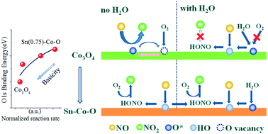 Design strategies of surface basicity for NO oxidation over a novel Sn ...