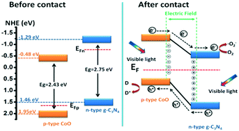 Facile Fabrication Of A Coo G C3n4 P N Heterojunction With Enhanced Photocatalytic Activity And Stability For Tetracycline Degradation Under Visible Light Catalysis Science Technology Rsc Publishing