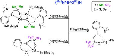 Cadmium Complexes Bearing Me2n E O E S Se Organochalcogenoalkoxides And Their Zinc And Mercury Analogues Dalton Transactions Rsc Publishing