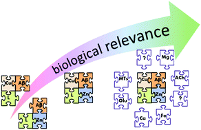 Mutual Interference Of Cu And Zn Ions In Alzheimer S Disease Perspectives At The Molecular Level Dalton Transactions Rsc Publishing