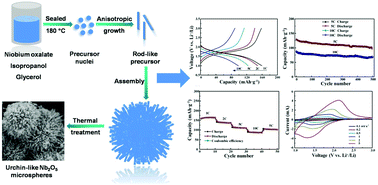 Urchin Like Hierarchical H Nb2o5 Microspheres Synthesis Formation Mechanism And Their Applications In Lithium Ion Batteries Dalton Transactions Rsc Publishing