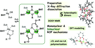 Mono Bht Heteroleptic Magnesium Complexes Synthesis Molecular Structure And Catalytic Behavior In The Ring Opening Polymerization Of Cyclic Esters Dalton Transactions Rsc Publishing