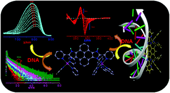 Bimetallic Ru(ii) and Os(ii) complexes based on a pyrene-bisimidazole ...