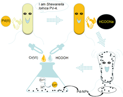 Biosynthesis Of Palladium Nanoparticles Using Shewanella Loihica Pv 4 For Excellent Catalytic Reduction Of Chromium Vi Environmental Science Nano Rsc Publishing