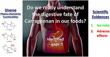 Clarifying The Confusion Between Carrageenan and It's Derivatives — PT.  Galic Artabahari