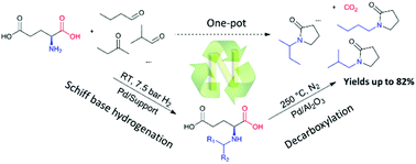 Bio-based N-alkyl-2-pyrrolidones by Pd-catalyzed reductive N-alkylation and  decarboxylation of glutamic acid - Green Chemistry (RSC Publishing)