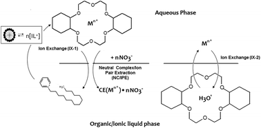 Micelle Formation As A Factor Influencing The Mode(s) Of Metal Ion ...