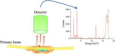 Total Reflection X-ray Fluorescence Based Quantification Of Gold 