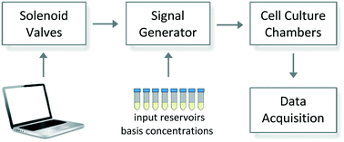 Dynamic Data Generator