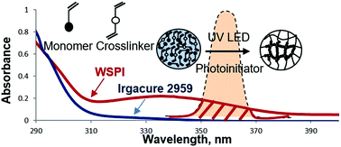 New Uv Led Curing Approach For Polyacrylamide And Poly N Isopropylacrylamide Hydrogels New Journal Of Chemistry Rsc Publishing