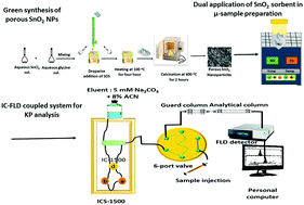 Dual application of synthesized SnO2 nanoparticles in ion ...