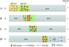 Sensitive analysis of reduced glutathione in bacteria and HaCaT cells by  capillary electrophoresis via online pre-concentration of transient  trapping combined with the dynamic pH junction mode - New Journal of  Chemistry (RSC