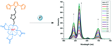 A Phosphorescent Fluoride Probe Based On Eu Iii Do3a Clicked With A 2 5 Di Thien 2 Yl Pyrrole Scaffold New Journal Of Chemistry Rsc Publishing