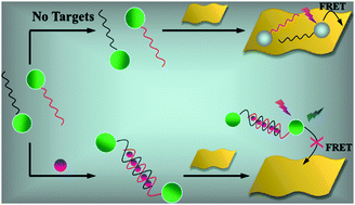 A turn-on fluorescent solid-sensor for Hg(II) detection 