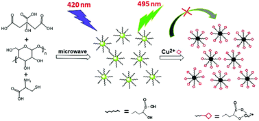 One-step microwave synthesis of carbon dots for highly sensitive and ...