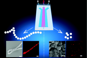 Continuous fabrication of polymeric vesicles and nanotubes with fluidic ...