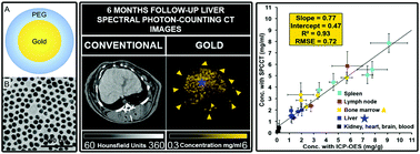 Evaluation Of Spectral Photon Counting Computed Tomography K Edge Imaging For Determination Of Gold Nanoparticle Biodistribution In Vivo Nanoscale Rsc Publishing
