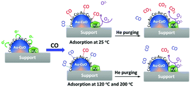 Insight Into The Chemical Adsorption Properties Of Co Molecules Supported On Au Or Cu And Hybridized Au Cuo Nanoparticles Nanoscale Rsc Publishing