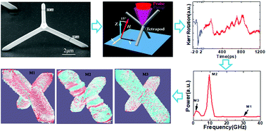 Ultrafast Magnetization Dynamics In A Nanoscale Three - 