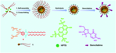 Reverse micelle-based water-soluble nanoparticles for simultaneous  bioimaging and drug delivery - Organic & Biomolecular Chemistry (RSC  Publishing)